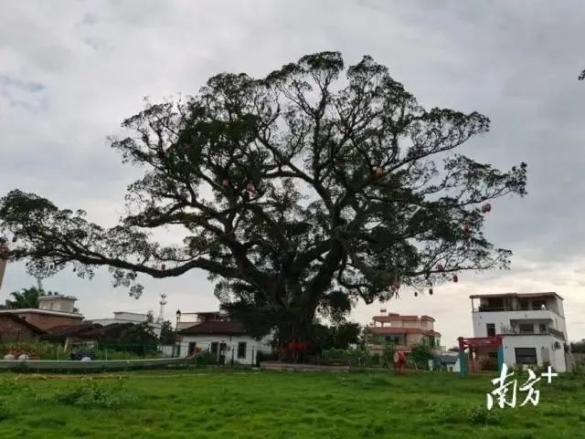 DƬ